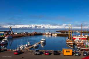 Husavik harbor-9465